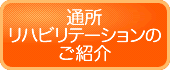 �ʏ����n�r���e�[�V�����̂��Љ�