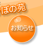 ���m�点