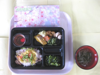 花見弁当‗300404‗C1.JPG