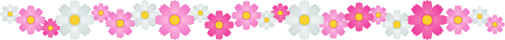 コスモス.png