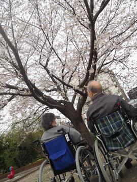 昭和町公園２.JPG