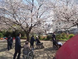 昭和町公園３.JPG