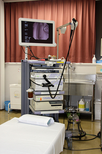 endoscopy01.jpg