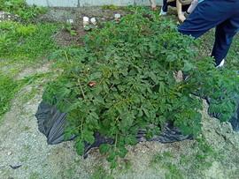 IMG_20240515_134749_471.jpg