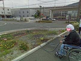 IMG_20240515_135913_617.jpg