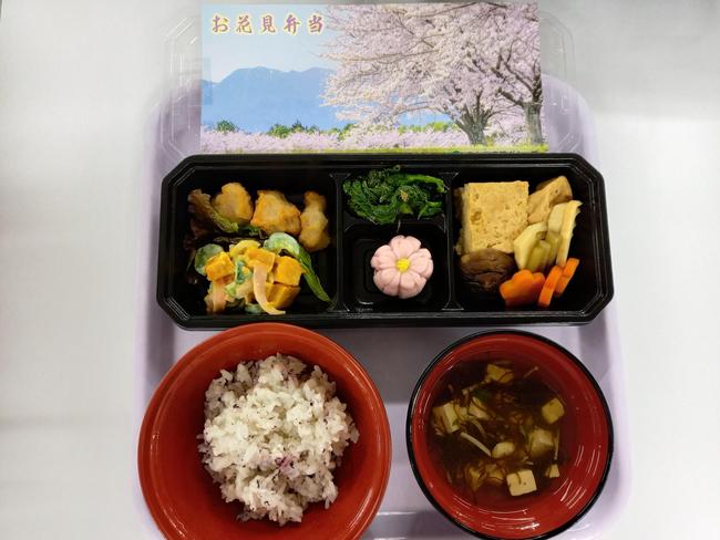 お花見弁当（形）.jpg