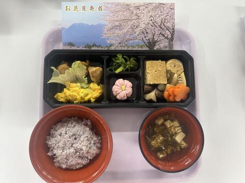 お花見弁当（形）.jpeg